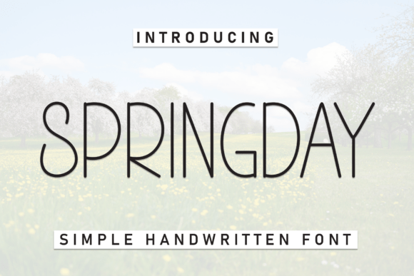 Springday: A Versatile Display Font for Everyday Creativity